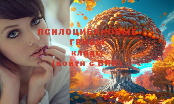метамфетамин Абаза