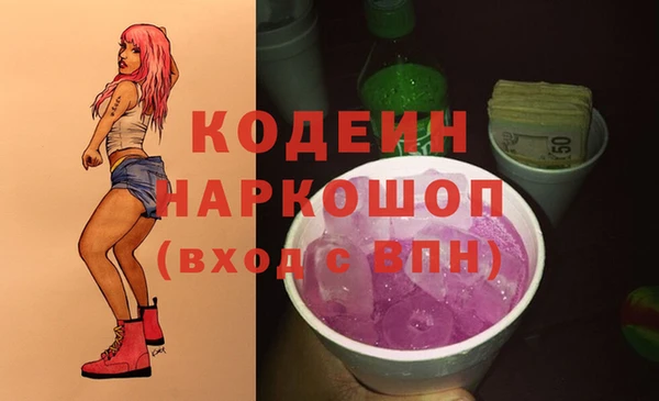 гашик Арсеньев