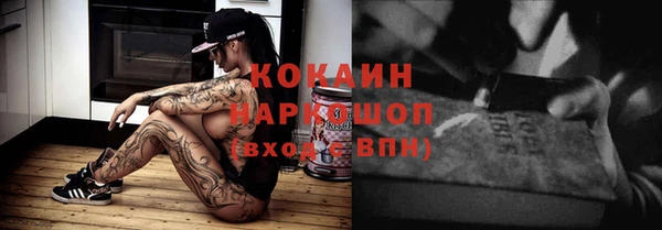 гашик Арсеньев