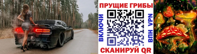 Псилоцибиновые грибы прущие грибы  Ковров 